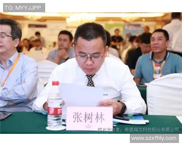 南京羽毛球队防守革新之路：战术创新与团队协作的完美结合